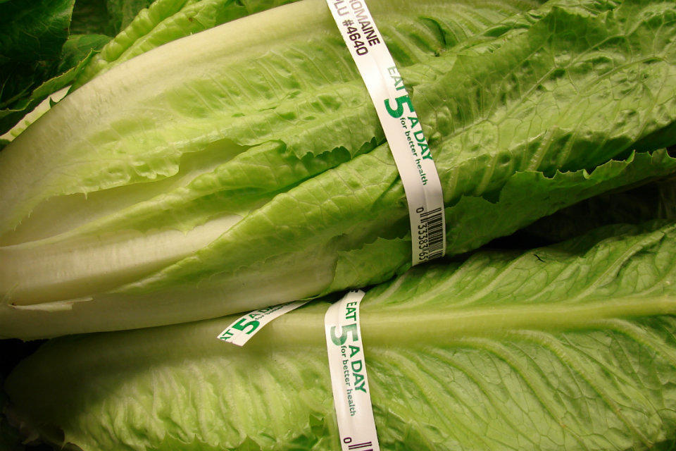 Гид по зеленым листовым овощам: чем полезны пак-чой, ромэн и шпинат